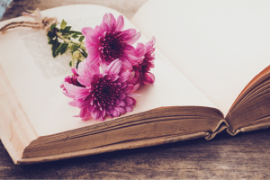 photo of three pink flowers laying on the pages of an open book