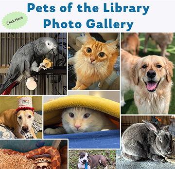 Pets of the Library Photo Gallery