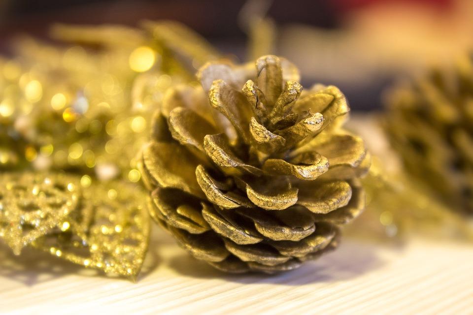 Gold painted pine cones