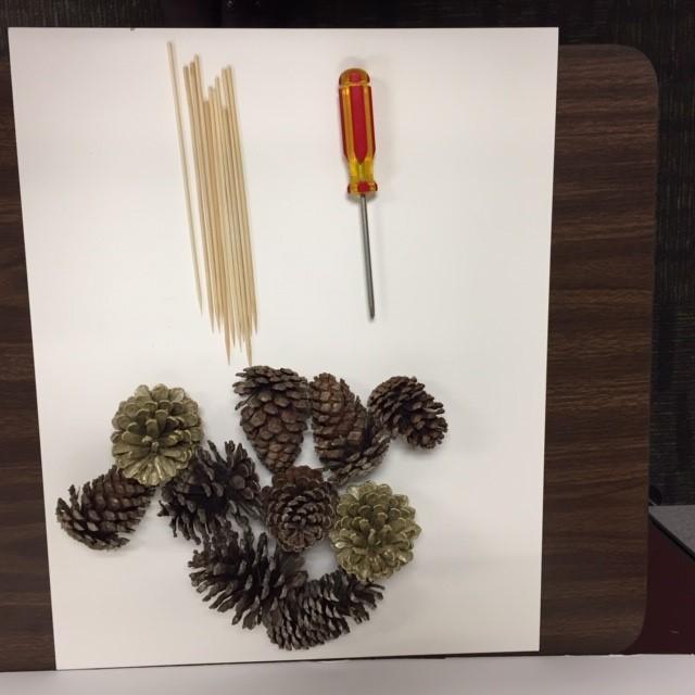 screwdriver, skewers and pine cones