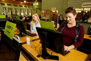 people using computers at the library