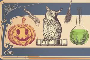 Illustration of a carved pumpkin, owl, and potion