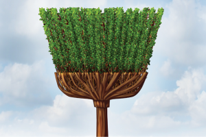 Illustration of a broom made of leaves and roots
