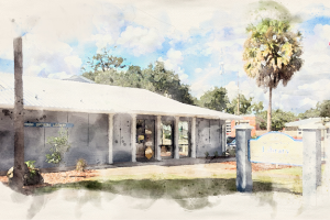 watercolor of the outside of High Springs Branch