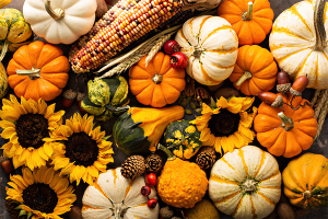 fall pumpkins