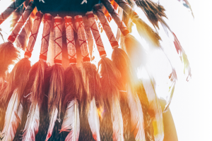 the back of a Native American head piece