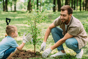 an adult with a child planting a tree outside