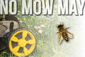 No Mow May HPT
