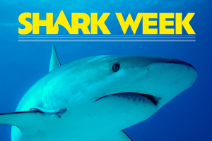 HPT.SharkWeek.072023