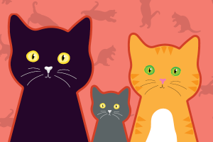 HP2.IntlCatDay.082023.png