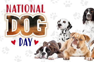 HPT.National Dog Day.082023.png