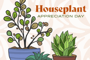 HPT.HouseplantAppreciationDay.012024.png