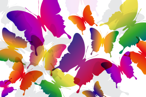 butterflies at the Library