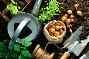 HPT.GardeningWithTheLibrary.042025.png