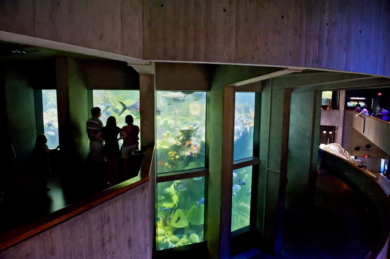 New England Aquarium Giant Ocean Tank New England Aquarium Giant Ocean Tank