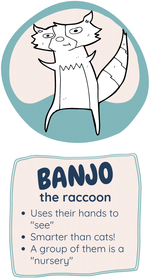 Image of Banjo the raccoon with some fun facts beneath.