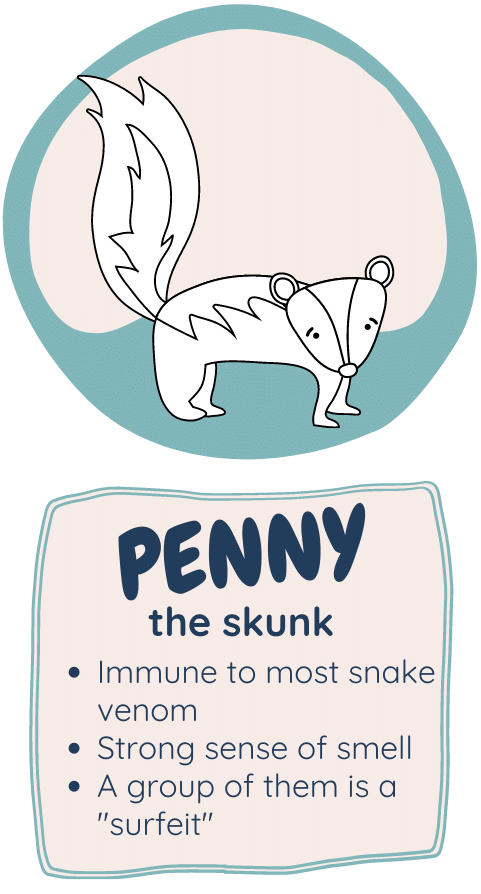 Image of Penny the skunk with some fun facts beneath.