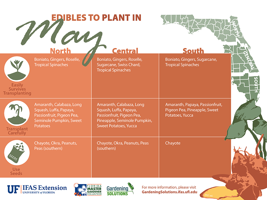 Edibles to Plant in May