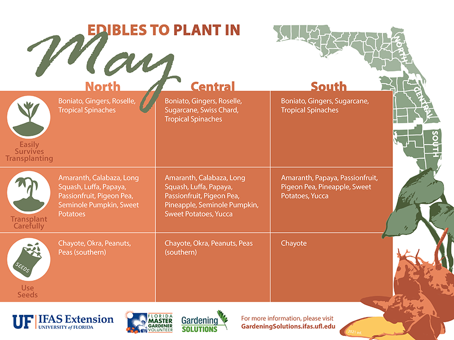 Edibles to Plant in May Edibles to Plant in May