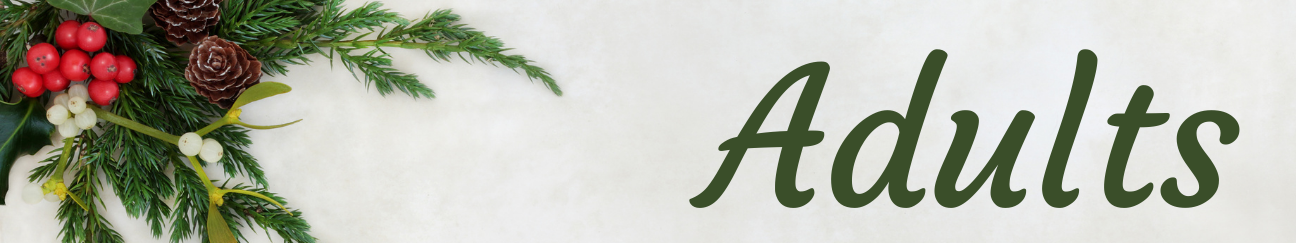 Adult book banner