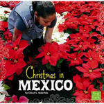 Christmas in Mexico by Cheryl L. Enderlein