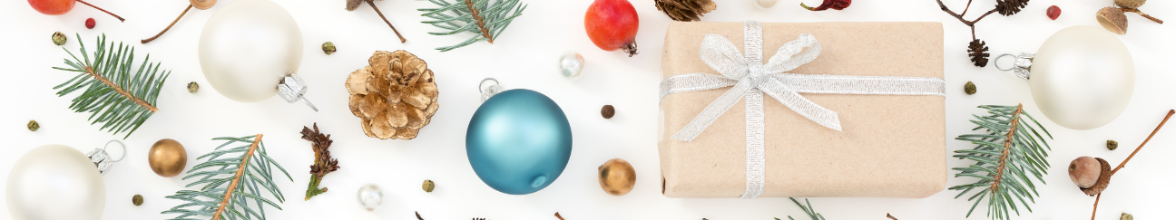 A long thin banner with a white background. There are Christmas ornaments, pine cones, and pine boughs scattered around and a rectangular present wrapped in white slightly off center.