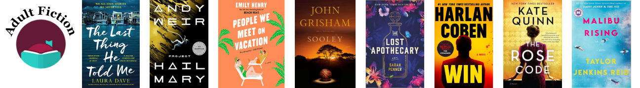 A long thin photo with eight book covers. There is also the Libby by Overdrive logo with the words "Adult Fiction" above it. The related books for the covers are listed in the accordion below.