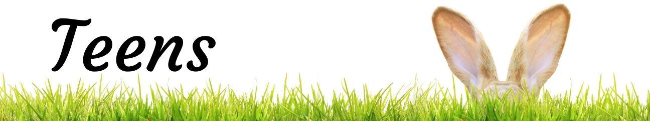 Teen banner art