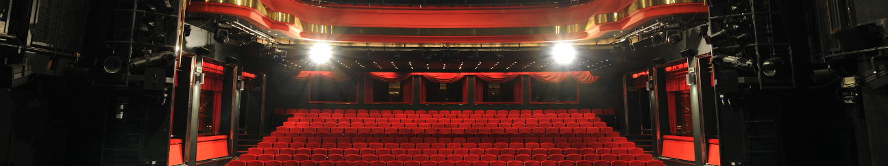 A cropped photograph taken from the stage of a grand theatre. It shows the audience's red seats, multiple balconies, and the light fixtures used to light the stage.