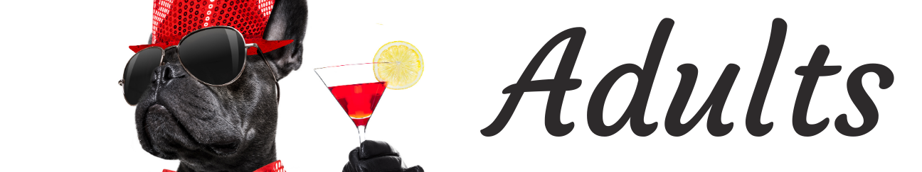 Adult Books section banner art
