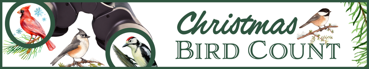 Christmas Bird Count