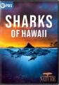 Sharks of Hawaii