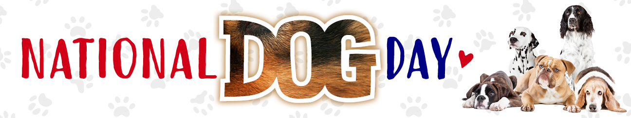 WebH.National Dog Day.082023.png
