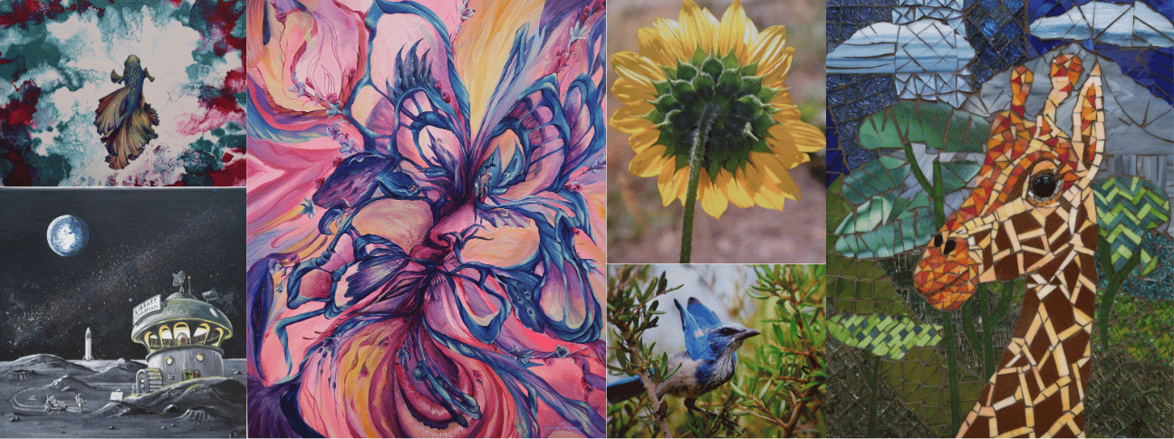 Adult Summer Art Show