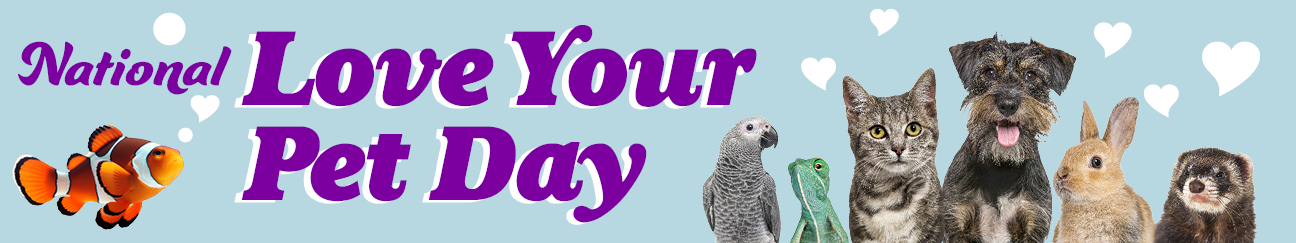 Love your Pet Day
