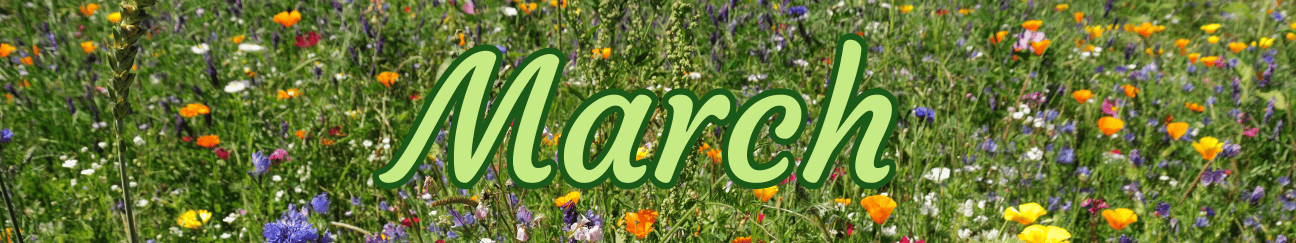 March banner