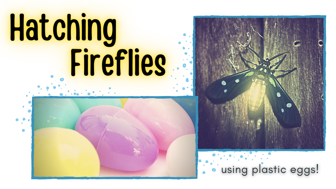 Header image that says Hatching Fireflies. It features an image of plastic Easter eggs and an image of a firefly.