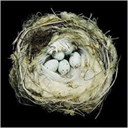 Cover of book Nests: fifty nests and the birds that built them Cover of book Nests: fifty nests and the birds that built them