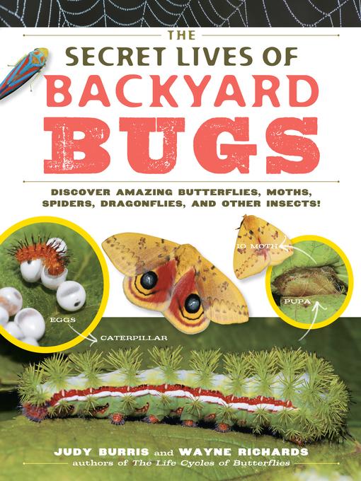 Book title "The Secret Lives of Backyard Bugs" above photos of moths and a caterpillar. 