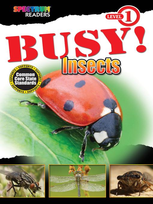 Lady bug on a book cover titled "Busy Insects."