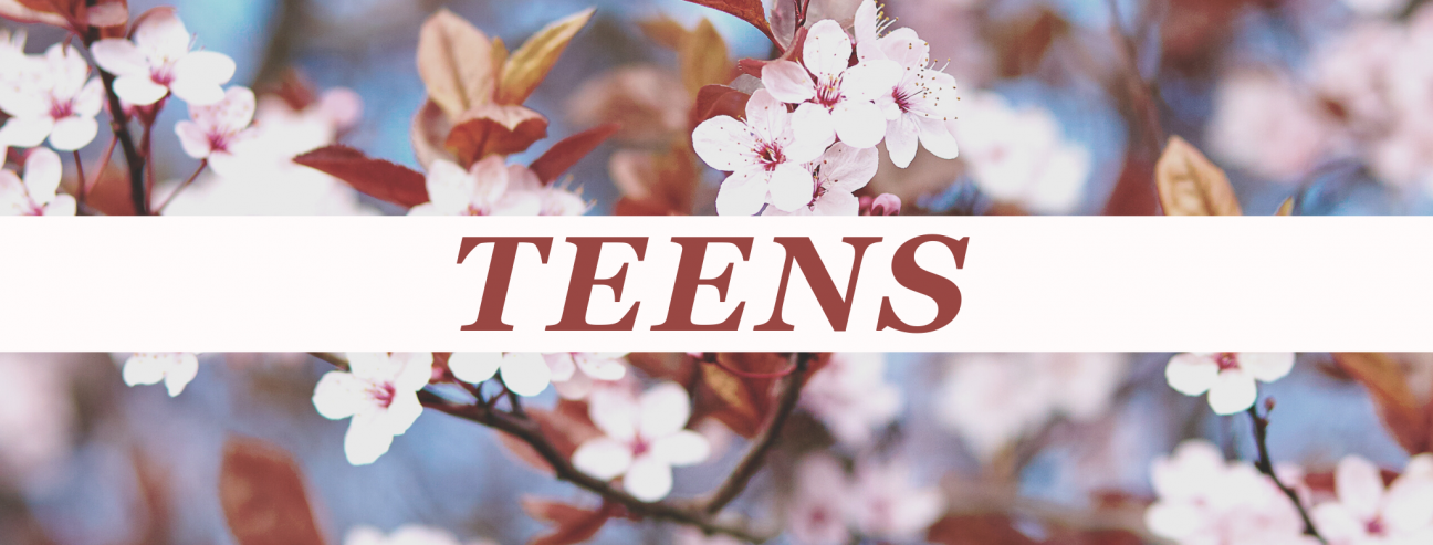 Young Adult Books Teen Banner