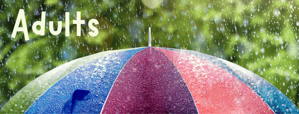 Adult books Adults banner