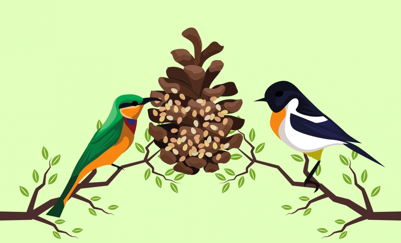 birds on branches eating seed out of pinecone