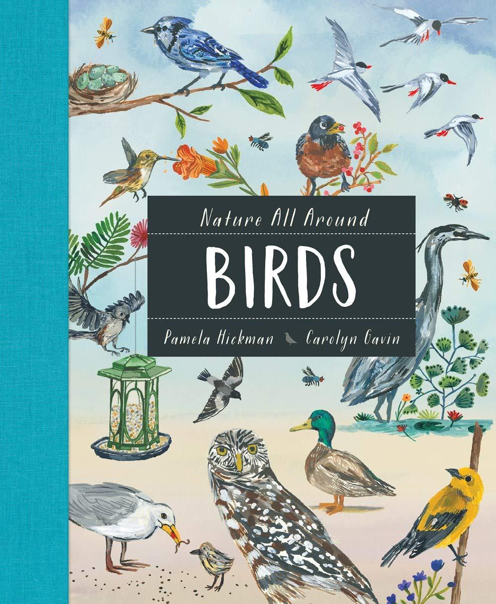 Birds by Pamela Hickman book cover
