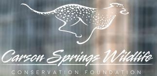 Carson Springs Wildlife 