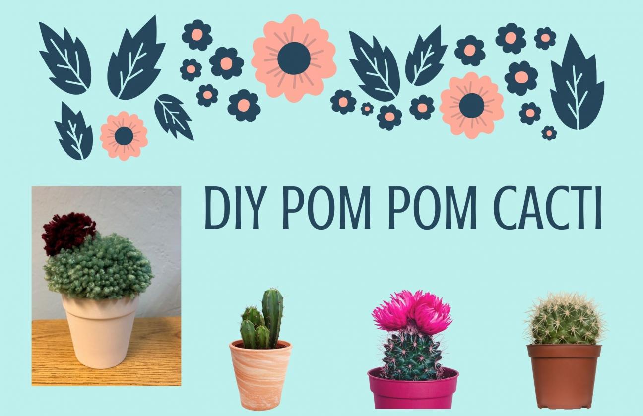 diy pom pom cacti