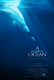 A Plastic Ocean DVD cover