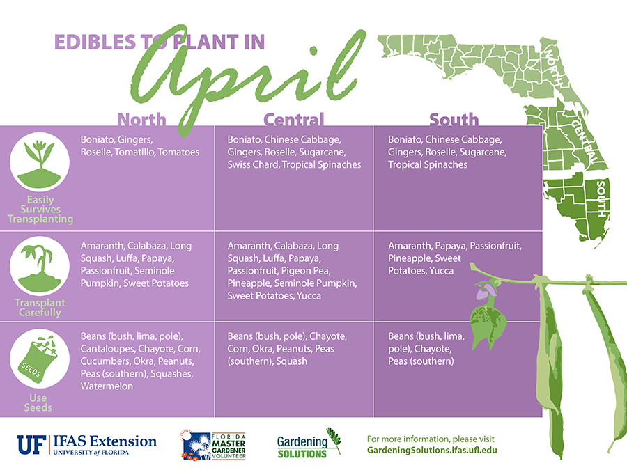 A chart of the edible plants that can be planted in Florida in the month of April, organized by region in the state.