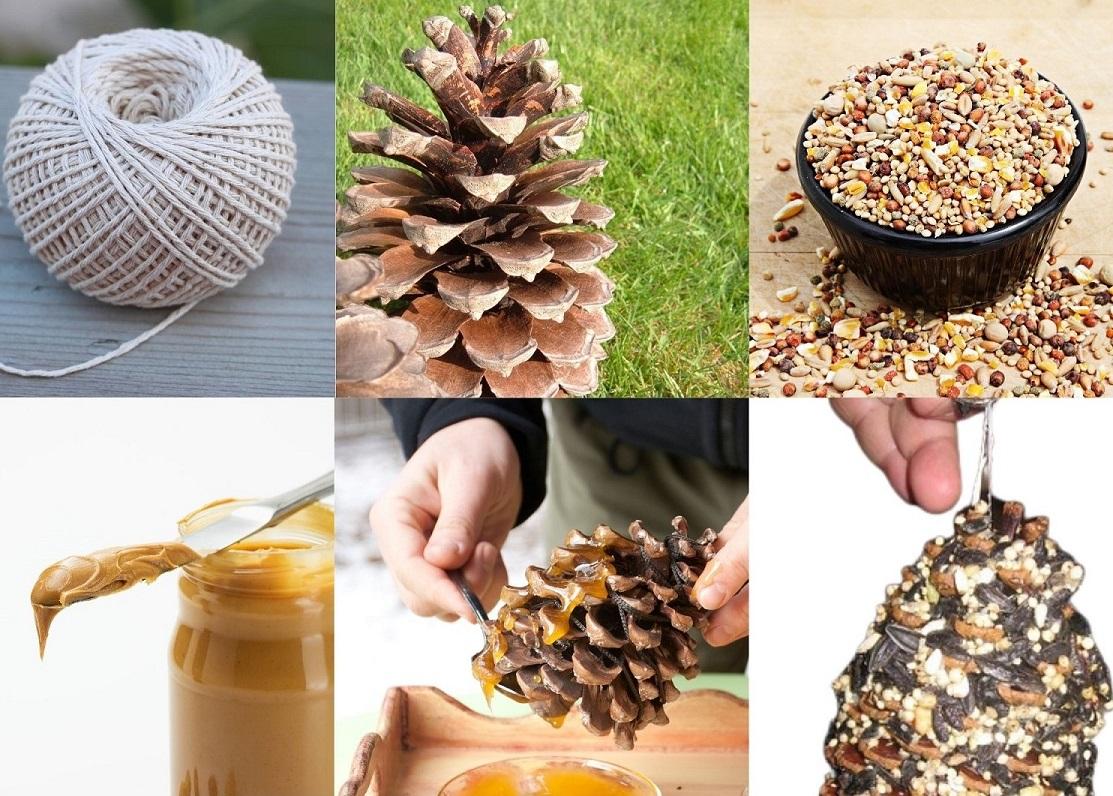 picture of string pinecone peanut butter birdseed