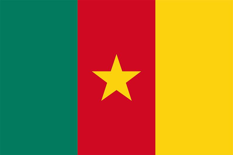 Cameroon Flag of Cameroon